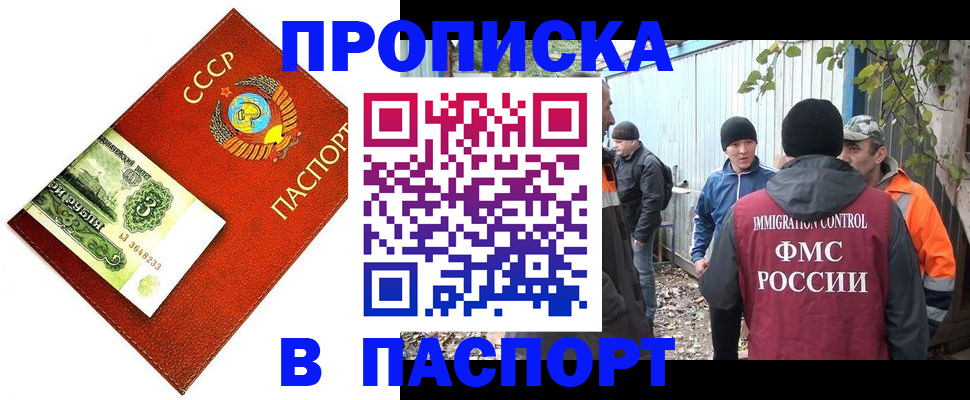 купить прописку в Курской области